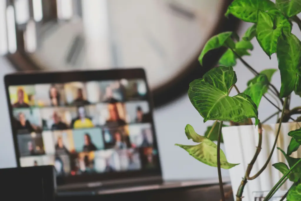 Wirtualna asystentka wspierająca organizację webinaru i spotkania online.